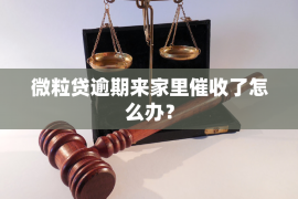 锦州融资清欠服务